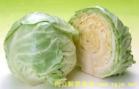 梦见包菜 卷心菜