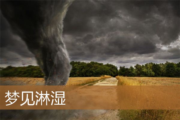 梦见淋湿是什么意思有什么预兆_周公解梦