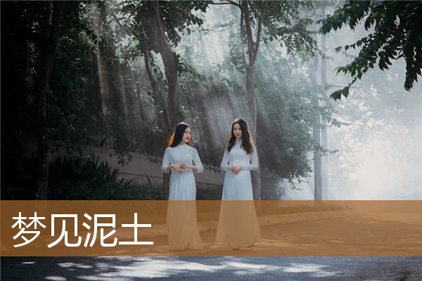 梦见泥土是什么意思有什么预兆_周公解梦