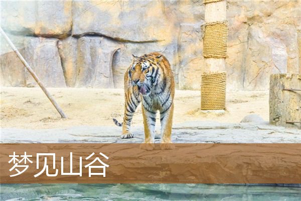 梦见山谷是什么意思有什么预兆_周公解梦