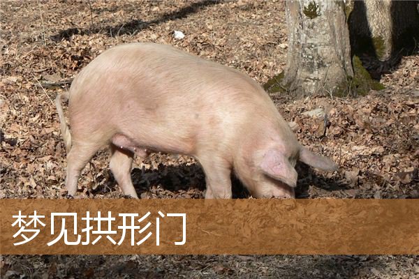 梦见拱形门是什么意思有什么预兆_周公解梦