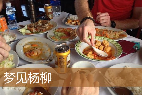 梦见杨柳是什么意思有什么预兆_周公解梦