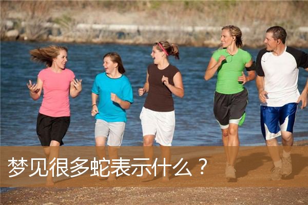 梦见很多蛇表示什么？_周公解梦