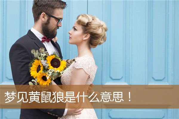 梦见黄鼠狼是什么意思！_周公解梦