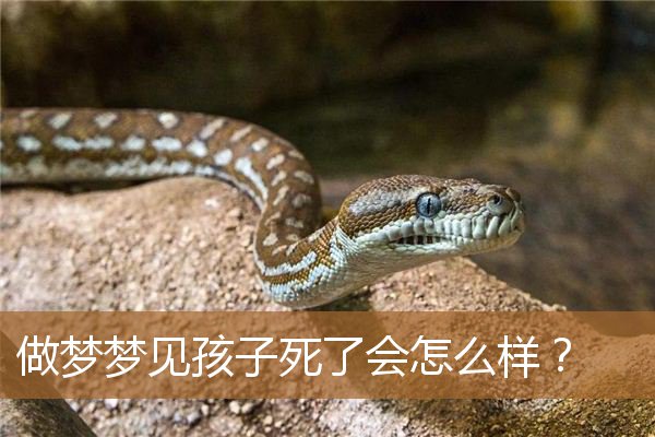 做梦梦见孩子死了会怎么样？_周公解梦