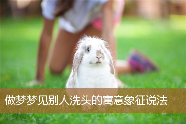 做梦梦见别人洗头的寓意象征说法_周公解梦