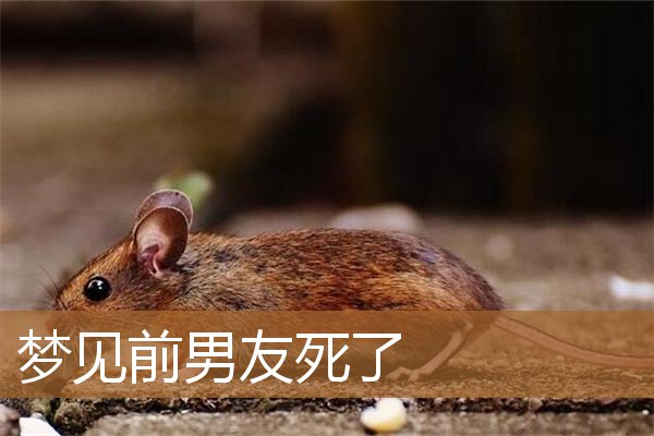 梦见前男友死了_周公解梦