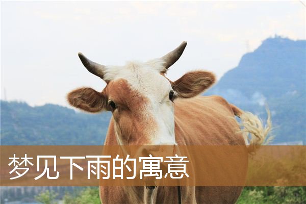 梦见下雨的寓意_周公解梦