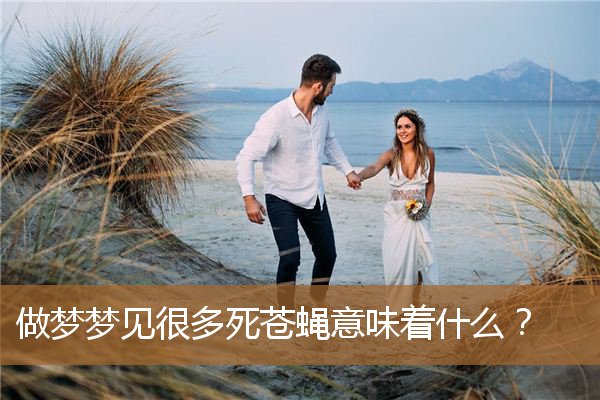 做梦梦见很多死苍蝇意味着什么？_周公解梦