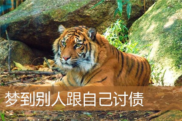 梦到别人跟自己讨债_周公解梦