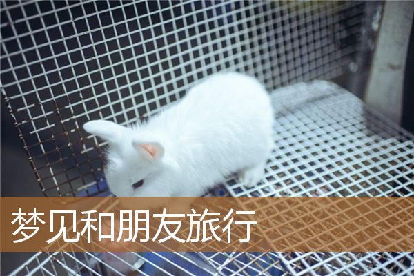 梦见和朋友旅行_周公解梦