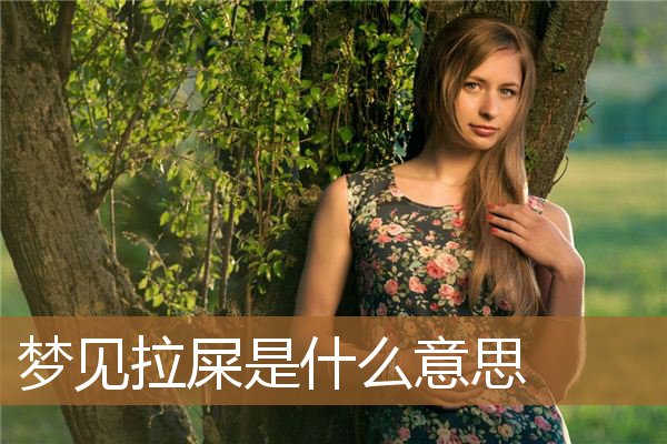 梦见拉屎是什么意思_周公解梦