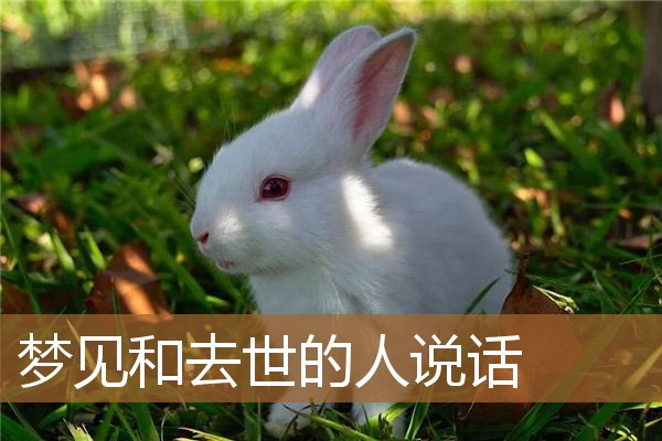梦见和去世的人说话_周公解梦