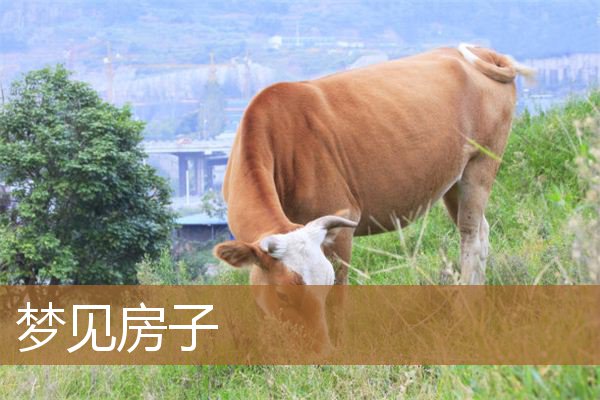 梦见房子是什么意思有什么预兆_周公解梦