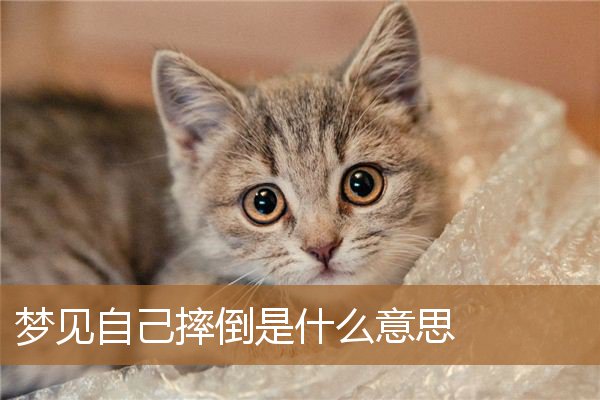 梦见自己摔倒是什么意思_周公解梦