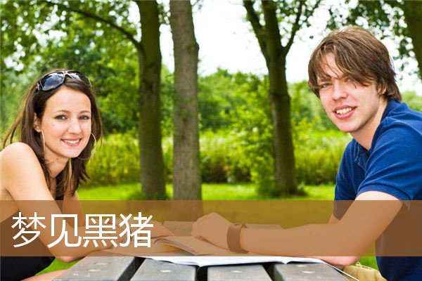 梦见黑猪_周公解梦