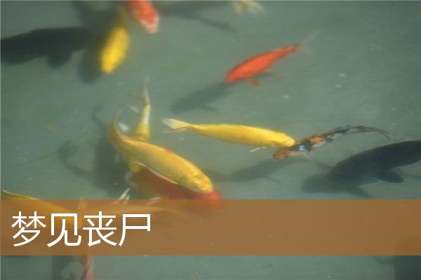 梦见丧尸_周公解梦