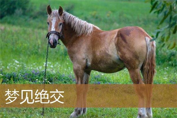 梦见绝交_周公解梦
