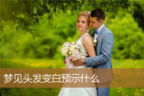 梦见头发变白预示什么_周公解梦