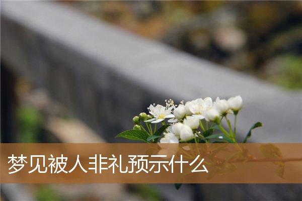 梦见被人非礼预示什么_周公解梦