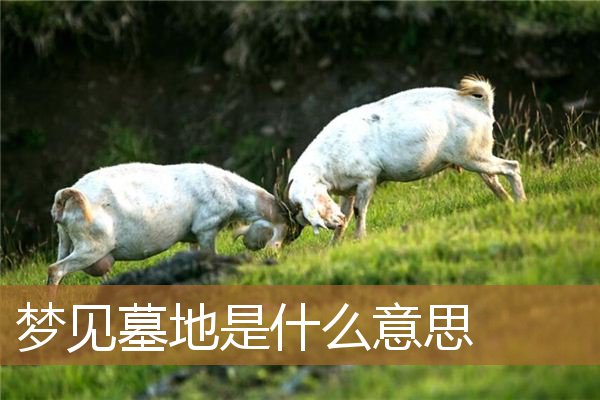 梦见墓地是什么意思_周公解梦