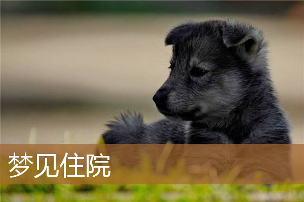 梦见住院_周公解梦
