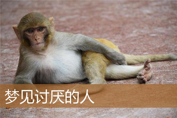 梦见讨厌的人_周公解梦