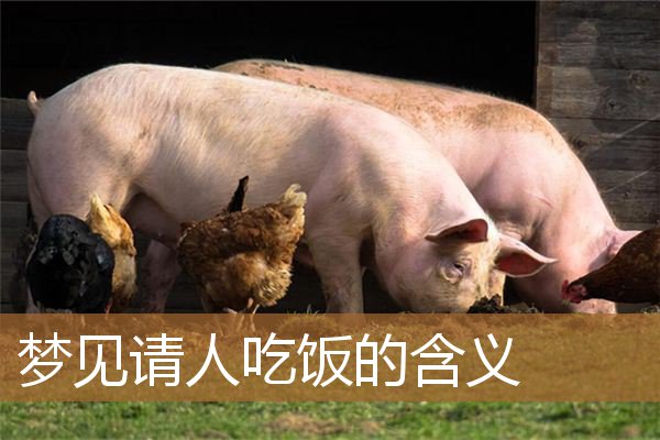 梦见请人吃饭的含义_周公解梦