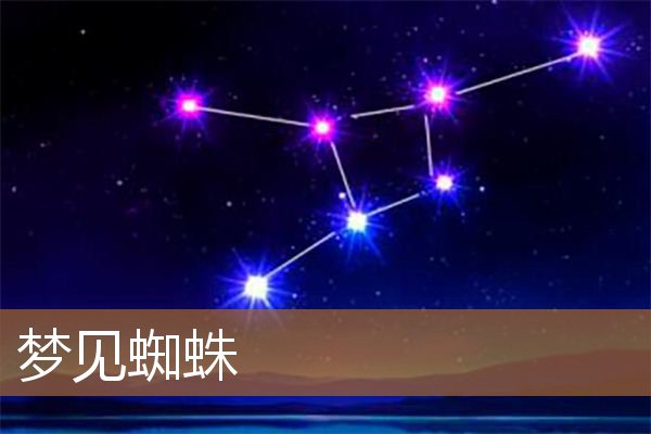 梦见蜘蛛是什么意思有什么预兆_周公解梦