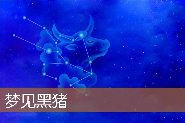 梦见黑猪是什么意思有什么预兆_周公解梦