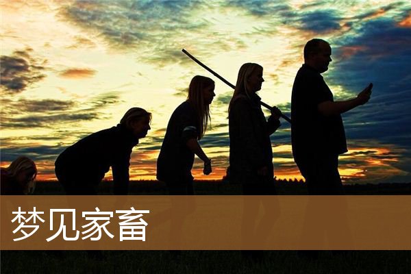 梦见家畜是什么意思有什么预兆_周公解梦