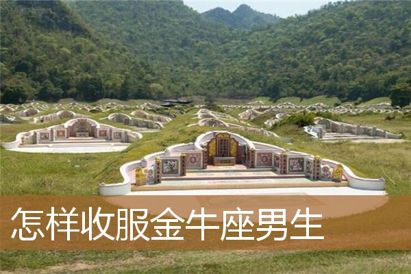 金牛座男生图