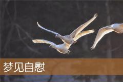 梦见自慰