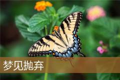 梦见抛弃