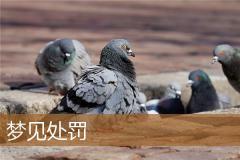 梦见处罚