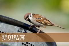 梦见私奔