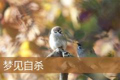 梦见自杀