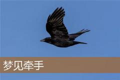 梦见牵手