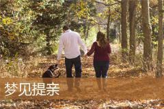 梦见提亲