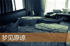 梦见原谅