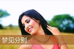 梦见分别