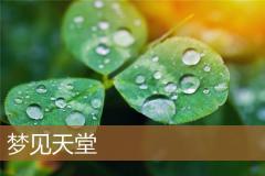 梦见天堂