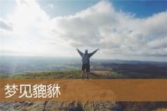 梦见貔貅