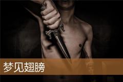 梦见翅膀
