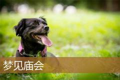 梦见庙会