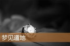 梦见遁地