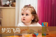 梦见飞马