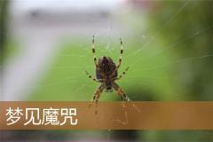 梦见魔咒