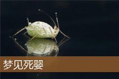 梦见死婴