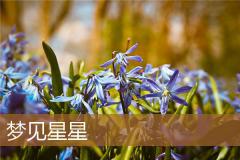 梦见星星